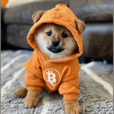 DOG badge